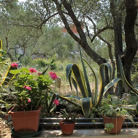 By The Sea Tucepi, Makarska - 6656 *